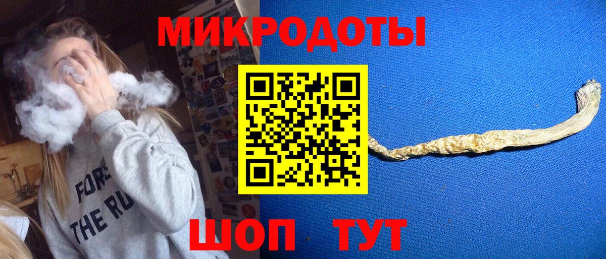 Галлюциногенные грибы прущие грибы  Галлюциногенные грибы мицелий  Зеленодольск  Вход с VPN 