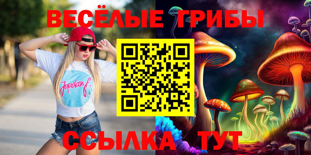 Галлюциногенные грибы GOLDEN TEACHER Зеленодольск